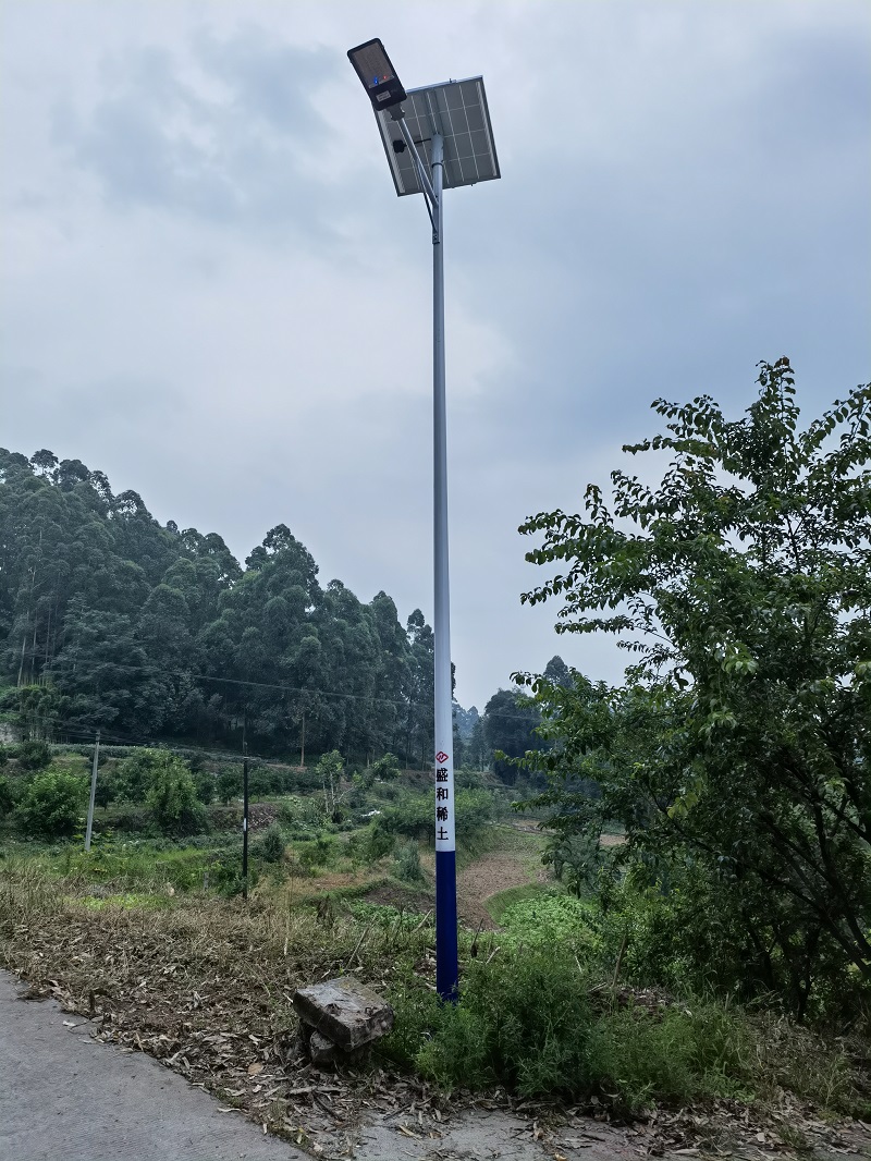 3.乐山千赢国际点亮美丽庙儿村